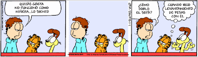 garfield - Garfield - Tiras Cómicas Ga080101