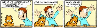 Garfield - Tiras Cómicas 16 Ga080705