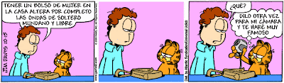 Garfield - Tiras Cómicas 43 Ga091015