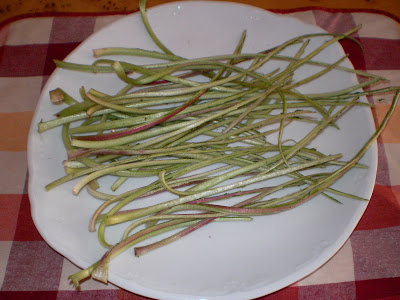 !!Por que en el campo tambien hay que comer!! (PLANTAS) Cardillos(10)