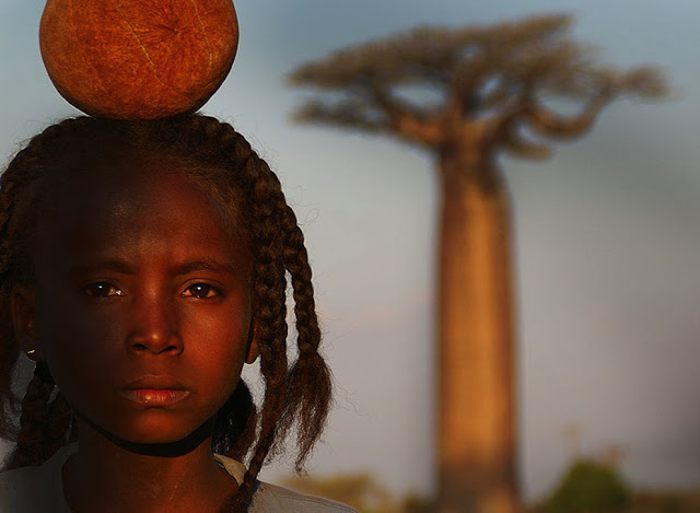    شاهد احداث ومشاهدغريبه بالصور  من العالم - صفحة 2 Baobab_5082763732_c8548738b9_b