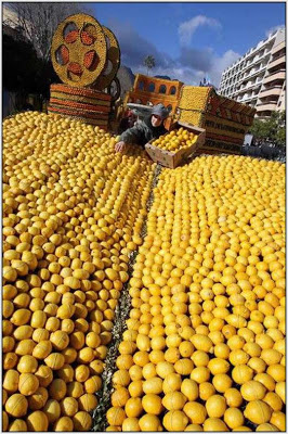 الليمون في فرنسا The-2010-Menton-Lemon-Festival-in-France-7