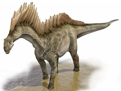 Amargasaurus Amargasaurus