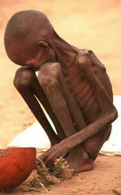 Kevin Carter Starving_child-sudan2