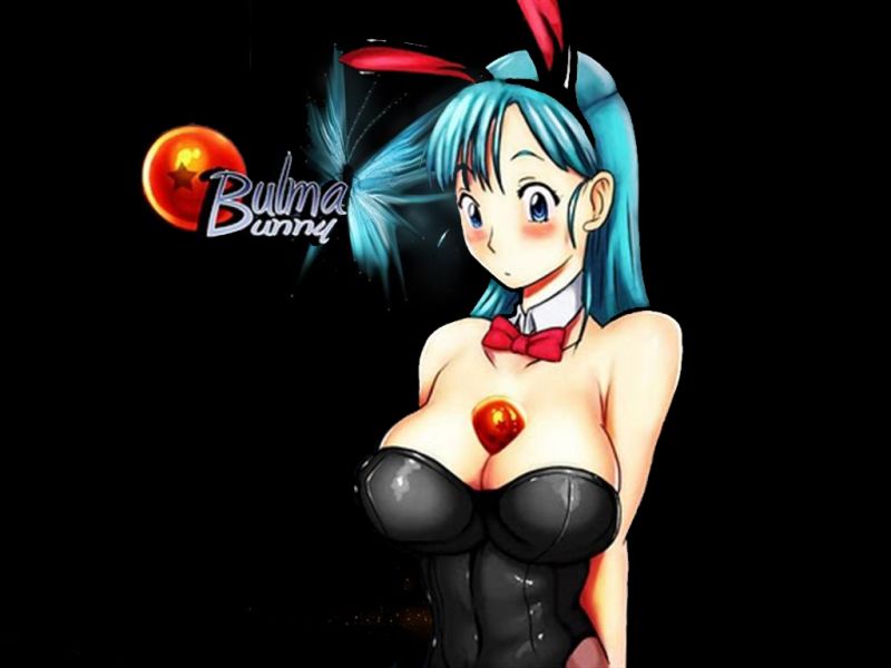 Sexy Dragon Ball Fan-Art Bulma-bunny-Dragonball-wallpaper-800x600