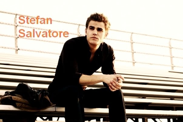 Stefan Relationships -Stefan-Salvatore-stefan-salvatore-10369968-604-402