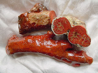  الأحجار الكريمة 3_red_coral.jpg