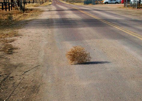 Habeis visto que callado está ahora el sector antimouriñista? Tumbleweed