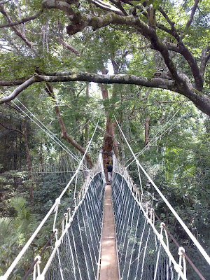 bu köprülerden geçmek için yürek lazım Most_Dangerous_Rope_Bridges_16