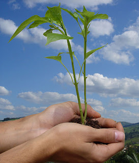 NO ASUSTAROS, NO HAY FIN DEL MUNDO Naturaleza