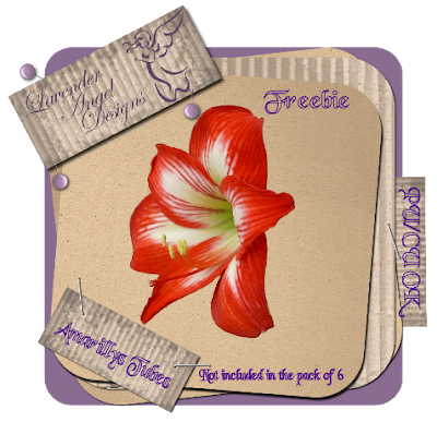 Amaryllis tube freebie PU/CU OK Ladamarillysfreebiepreview