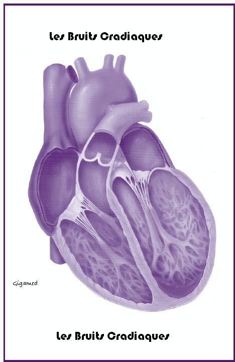 Les Bruits Cardiaques Emanual52d