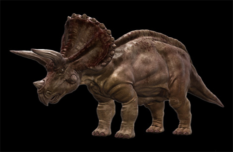 Triceratops Triceratops-ga