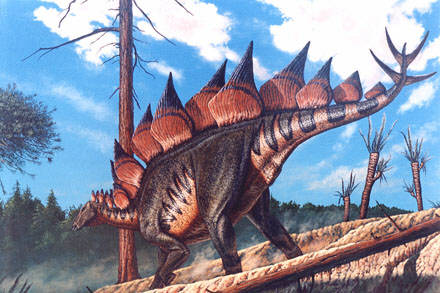 Triceratops o Stegosaurus Stegosaurus_stenops