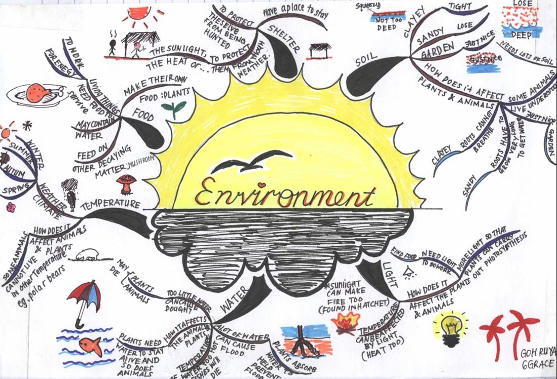 environment Mindmap