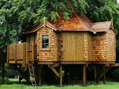 அழகிய மரங்களில் அழகான வீடுகள்.. Amazon-Tree-Houses-05