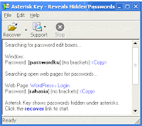 Menampilkan Password Asterisk-Key-2