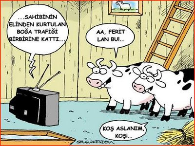 kurban bayramında kurbanlık karikatürler KURBAN_2