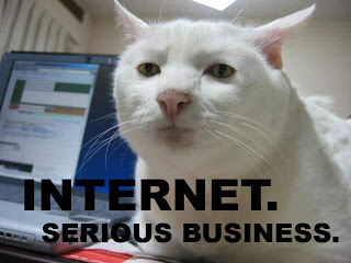 Maryse Internet-serious-business-cat