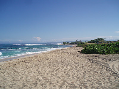 La playa de la isla 630236