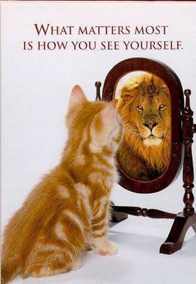 ☺☺☺ Foto humoristike me kafshe ☺☺☺  - Faqe 3 Funny-cat-picture-cute-kitty-pic-kitten-looking-in-mirror-seeing-a-lion