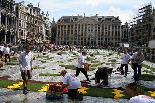 Flower Carpet 7