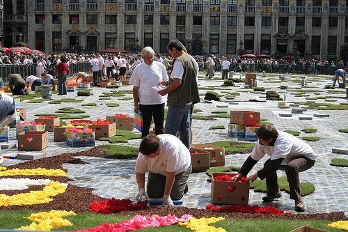 Flower Carpet 4