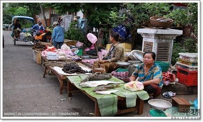 Pasar tani di thailand Unusual-asian-market-08