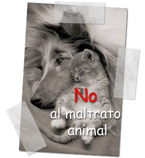 Carteles contra el maltrato animal No-al-maltrato-animal