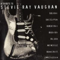 Tributo a Stevie Ray Vaughan Folder