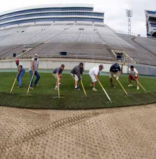 Proses Pembuatan Rumput Lapangan Sepak Bola Glihtzg8