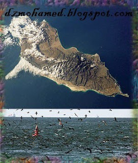 ماذا تعرف عن : جزيرة سوقطرة Suqatra Island Travel.337120