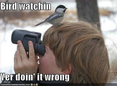 பட்டப்பேரு வச்சுருப்பாங்க... Funny-pictures-bird-on-birdwatcher-head