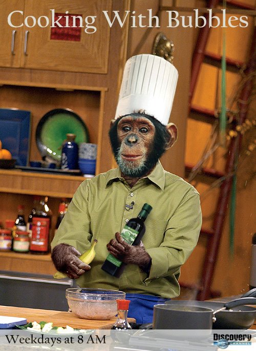 நாங்களும்தான்... Monkey-Cooking-10525