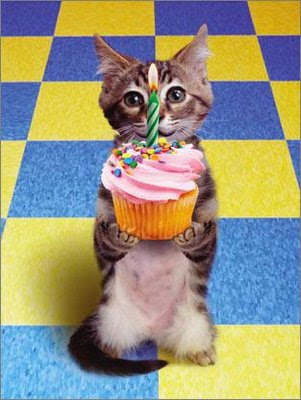 ¡FELIZ CUMPLEAÑOS BRIDA! Gato_cumpleanero