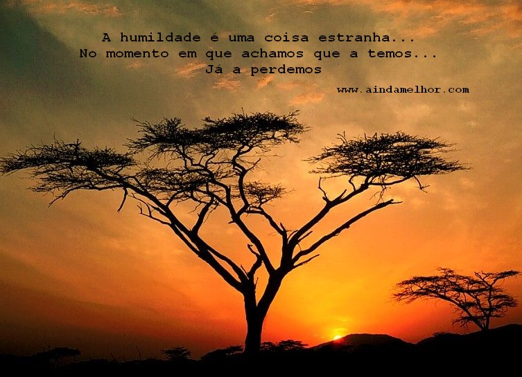 FRASES E PENSAMENTOS..... - Página 35 59-frase-humildade