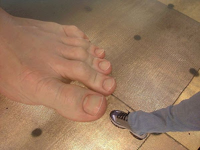 مجسمه هاي فوق العاده طبيعي و حيرت انگيز از آثار رون موئک Close_foot