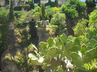 OU SOMMES-NOUS ? 7-vege