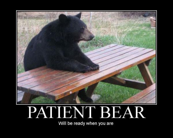 Jme fais plaisir ce matin... Patient-bear-demotivator