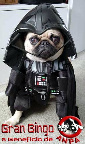 Gran Bingo a Beneficio de ANPA Hond3fz3rz_darth-vader-dog-costume