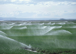 Vgtarisme - Page 3 Irrigation