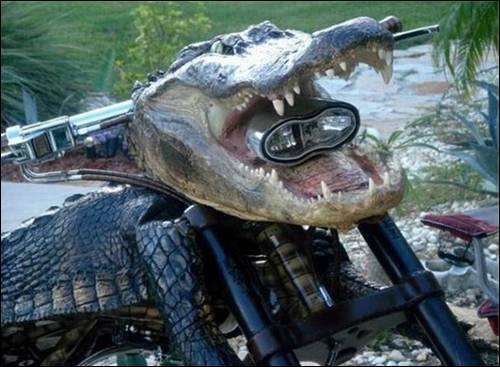 முதலை வடிவில் ஒரு பைக் - வினோத வாகனம் Crocodile-Bike%2B(2)