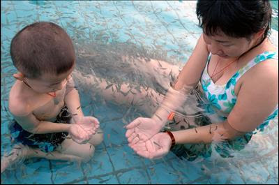 Hand pedicure by Dr. Fish! 0811_B14