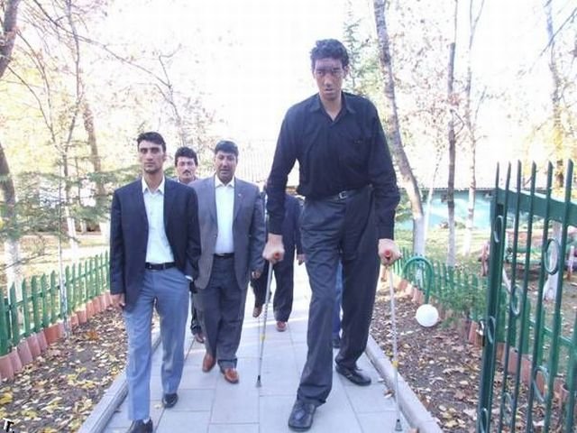 உலகில் மிக உயர்ந்த மனிதன்( 8'1")  Sultan-Kosen-tallest-man-25