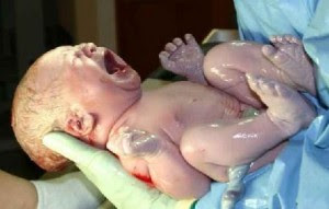 குழந்தையின் குறும்பு ரசித்தது. Newborn_baby_photo-300x191