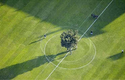 pokok tengah padang bola 3