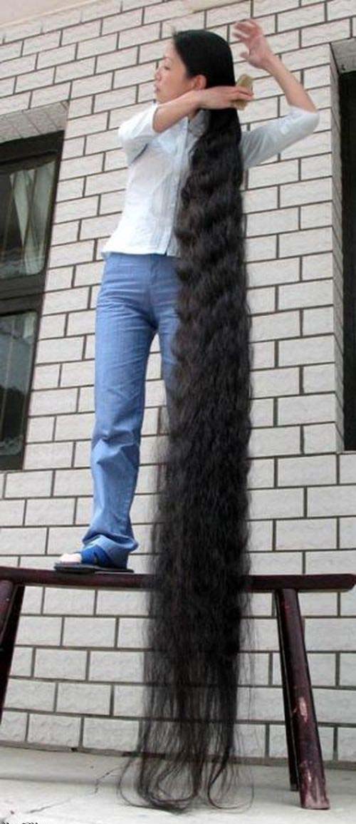 நீளமான கூந்தலை உடைய பெண். Xie-qiuping-world-s-longest-hair