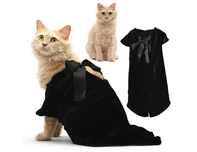 صح ملابس بس مولينا  Fashionable-cats-12