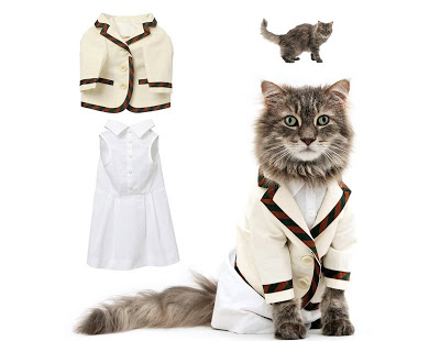 صح ملابس بس مولينا  Fashionable-cats-04