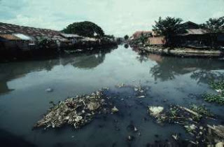 Ecologia y contaminacion Agua-contaminada